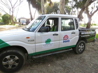 2016-08-11-papudo-areas-verdes-(1)