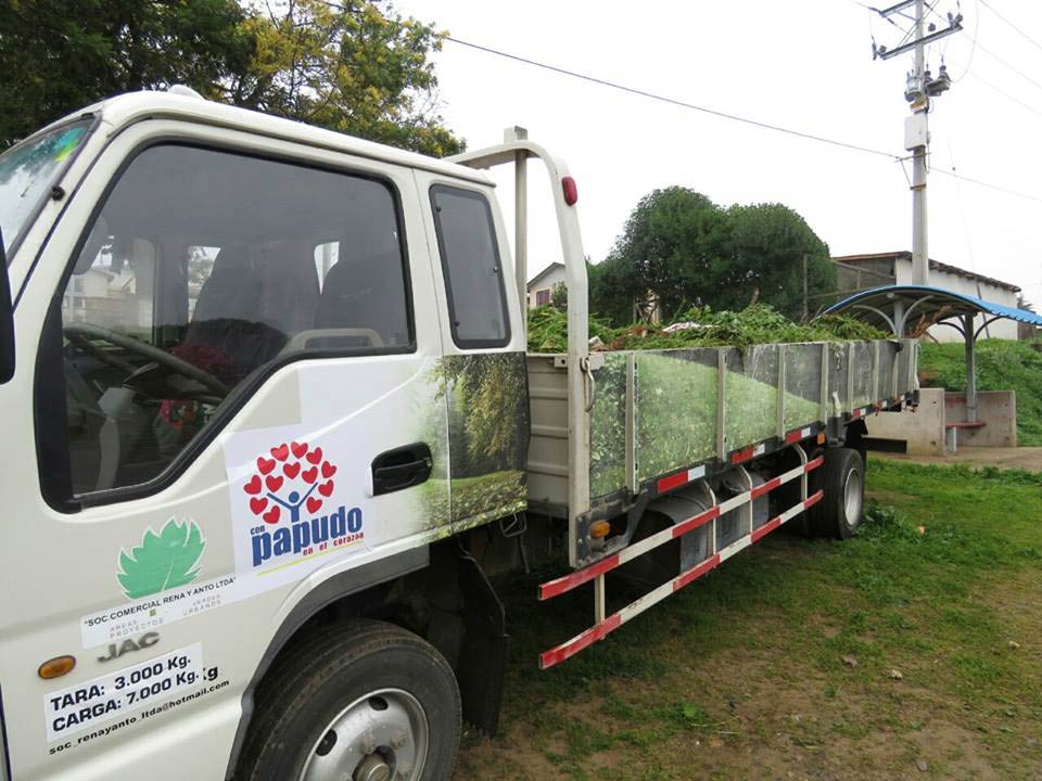 2016-08-11-papudo-areas-verdes-(2)